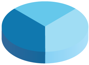 Pie Chart